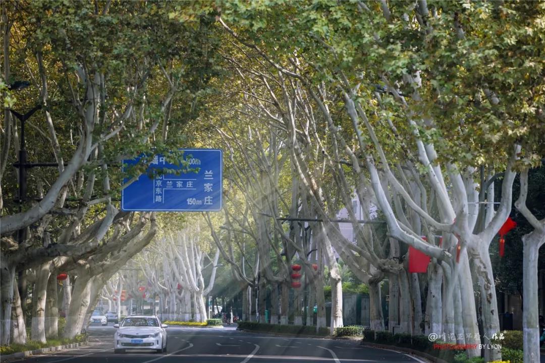 中国·必赢776net(股份)有限公司-官方网站