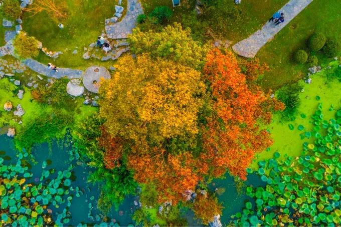 中国·必赢776net(股份)有限公司-官方网站