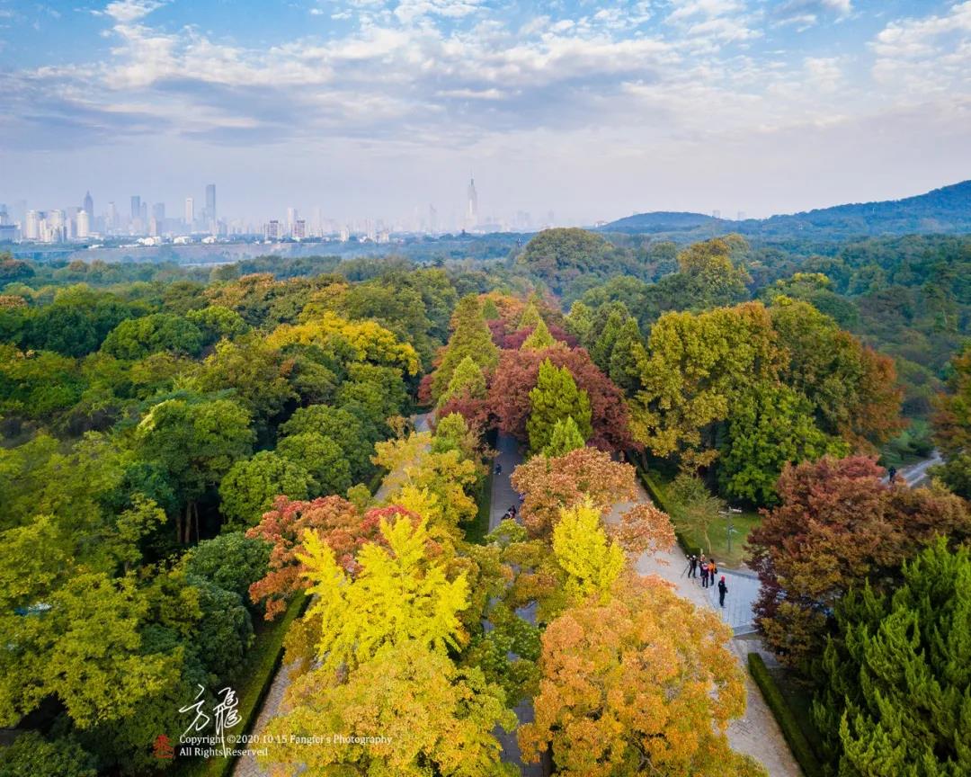 中国·必赢776net(股份)有限公司-官方网站