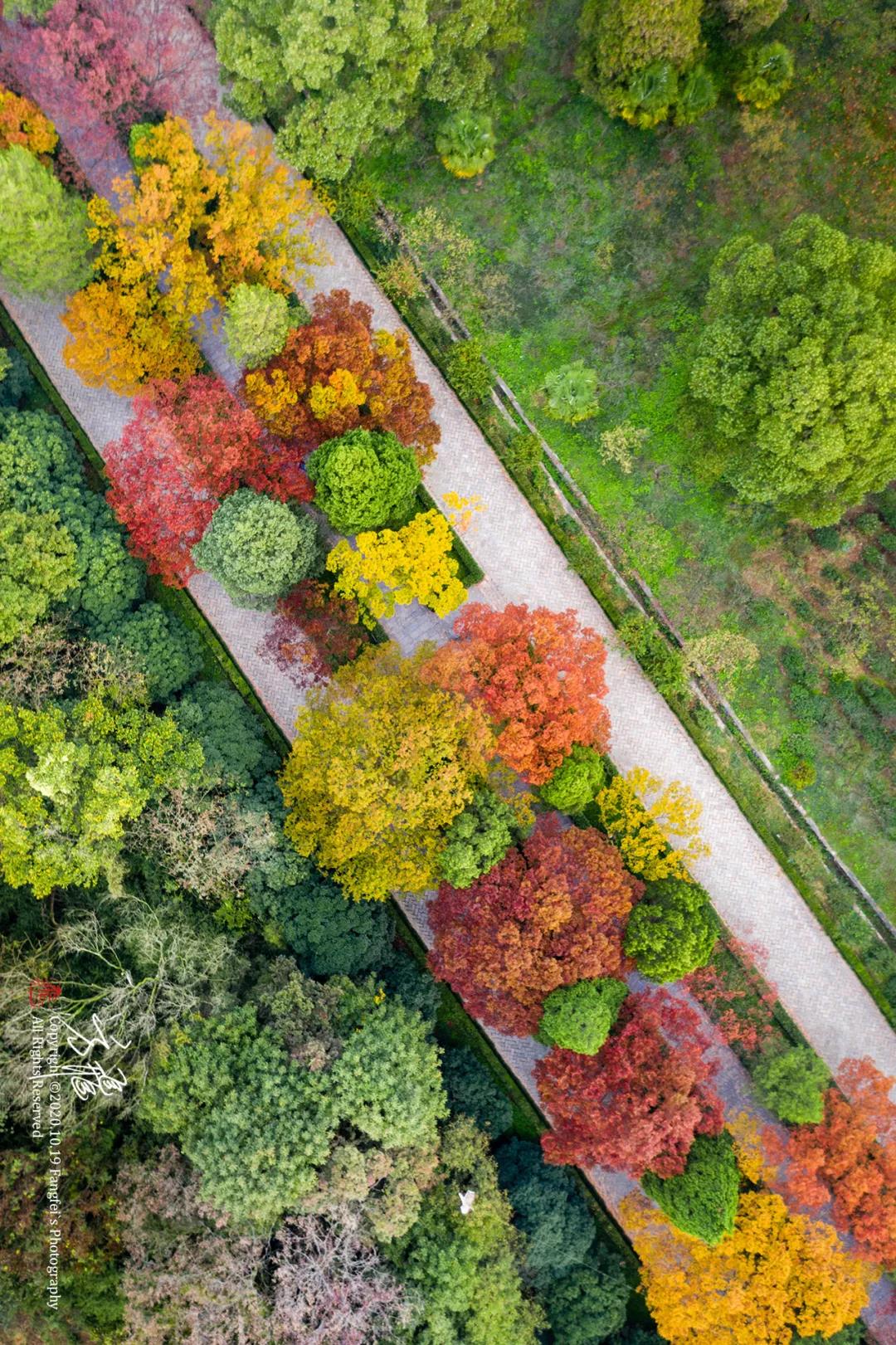 中国·必赢776net(股份)有限公司-官方网站