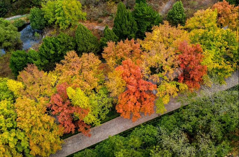 中国·必赢776net(股份)有限公司-官方网站