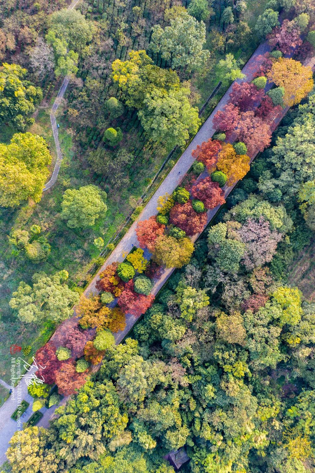 中国·必赢776net(股份)有限公司-官方网站