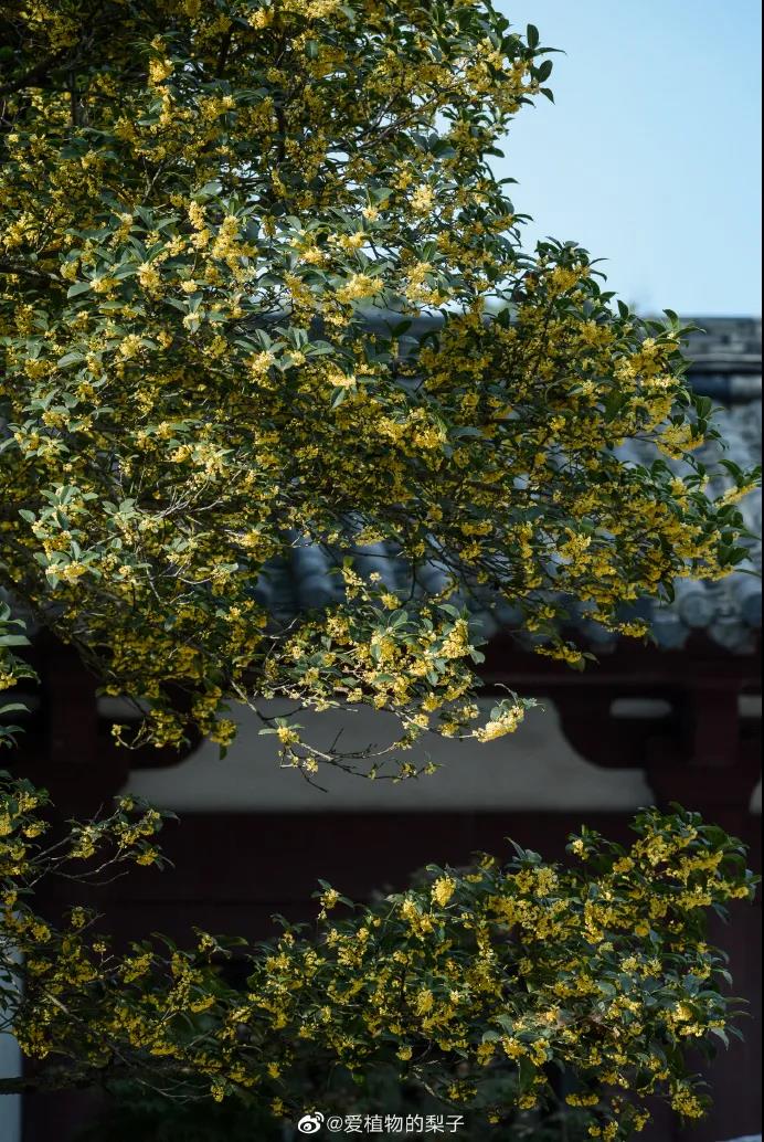 中国·必赢776net(股份)有限公司-官方网站