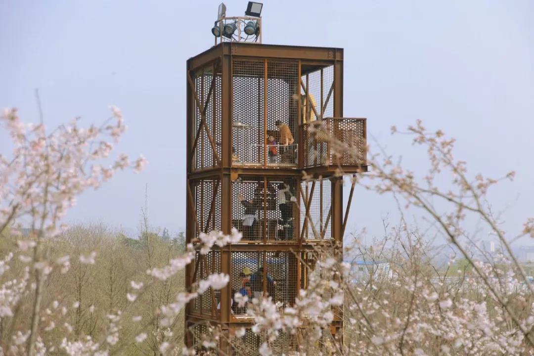 中国·必赢776net(股份)有限公司-官方网站