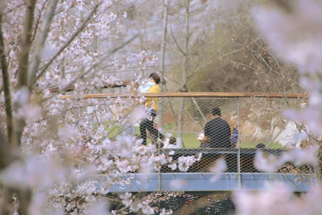 中国·必赢776net(股份)有限公司-官方网站