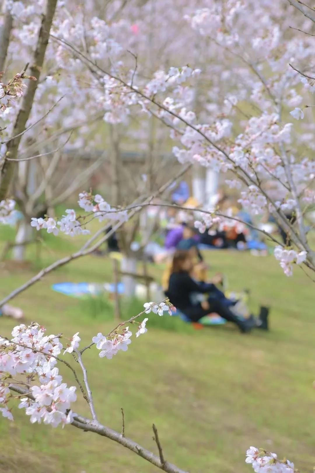 中国·必赢776net(股份)有限公司-官方网站