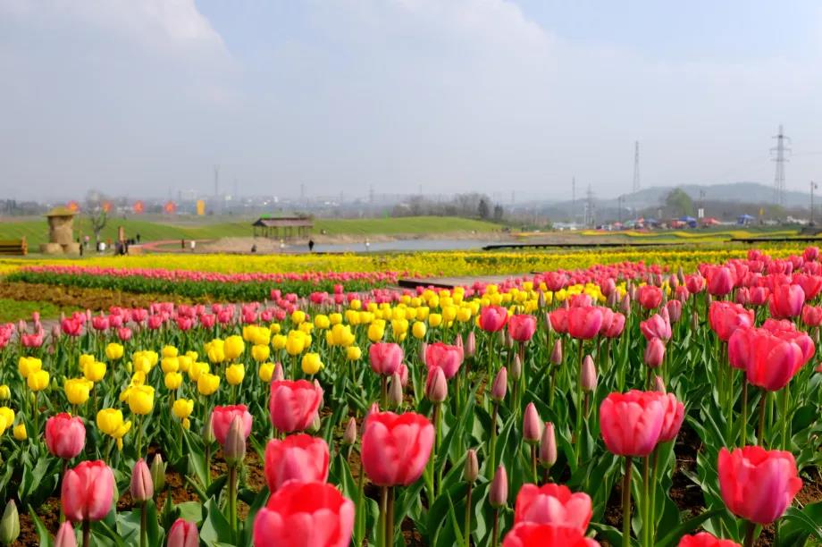 中国·必赢776net(股份)有限公司-官方网站