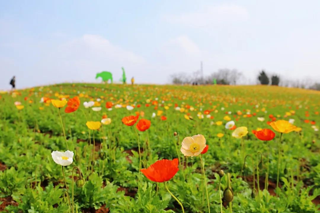 中国·必赢776net(股份)有限公司-官方网站