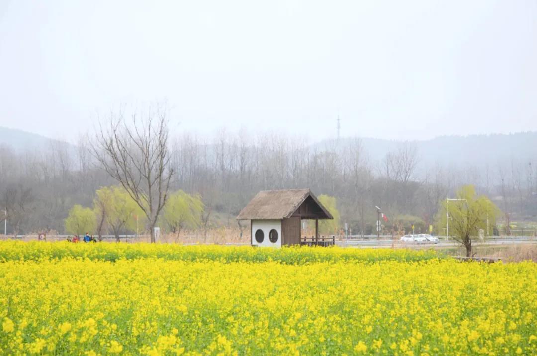 中国·必赢776net(股份)有限公司-官方网站