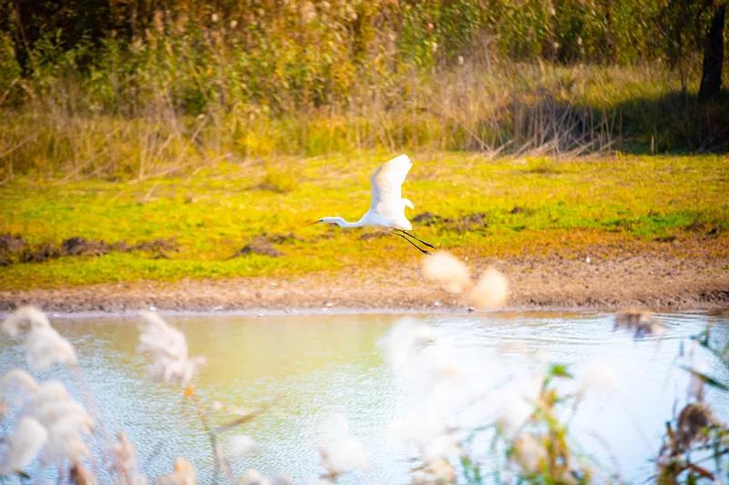 中国·必赢776net(股份)有限公司-官方网站