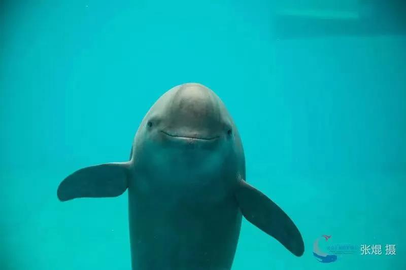 中国·必赢776net(股份)有限公司-官方网站