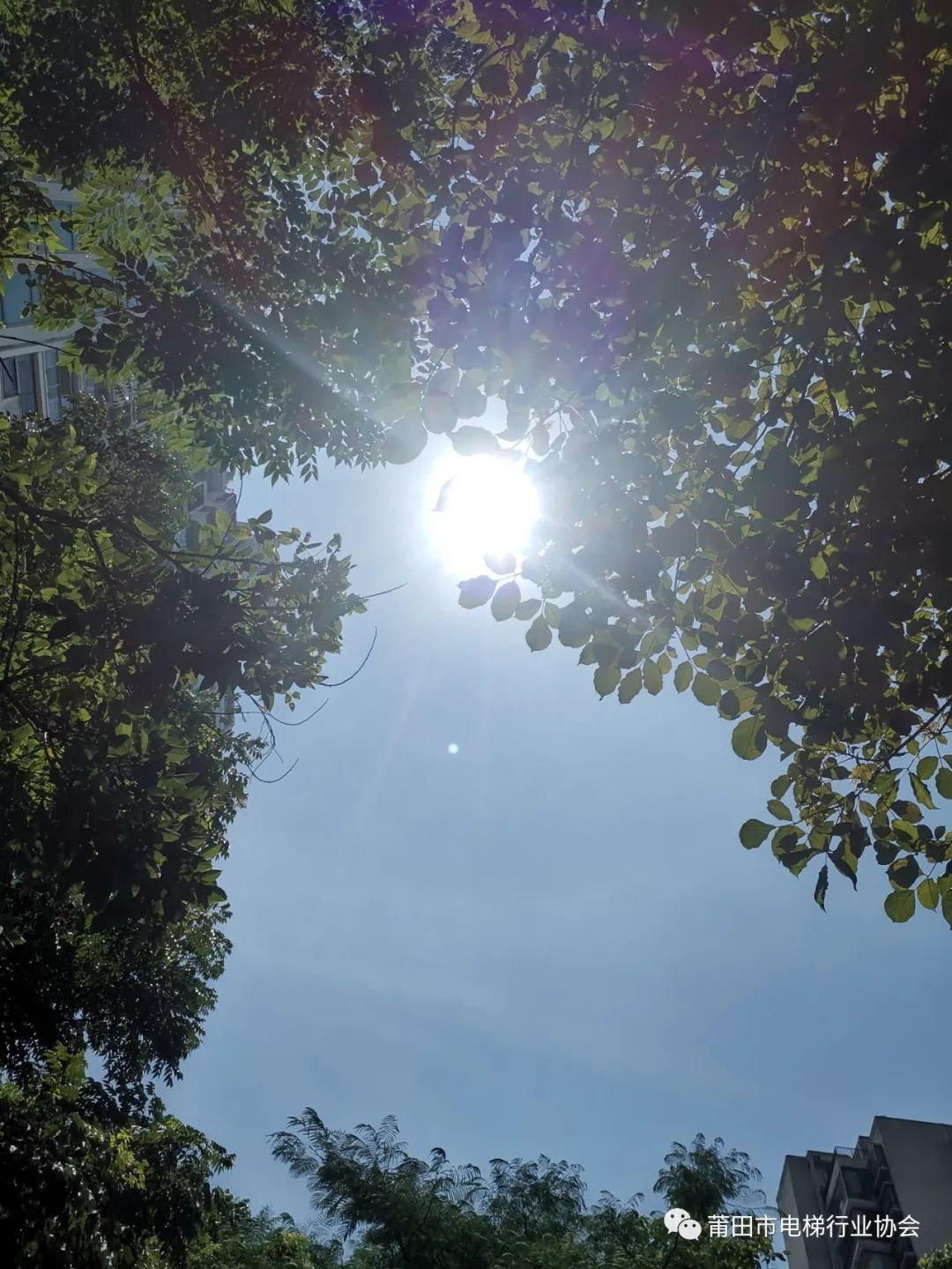 中国·必赢776net(股份)有限公司-官方网站